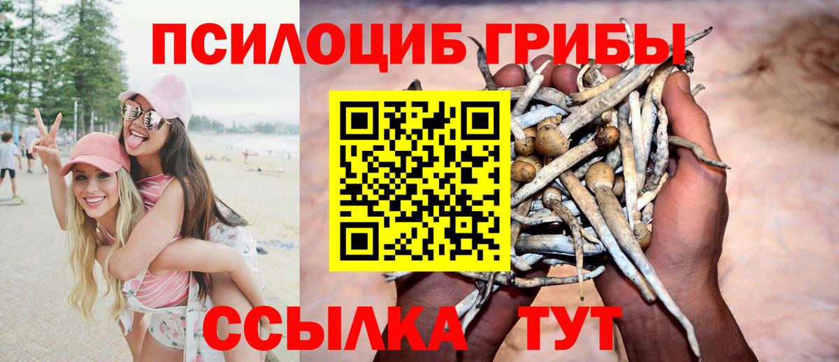 Галлюциногенные грибы прущие грибы  Вход с VPN  Гусь-Хрустальный 